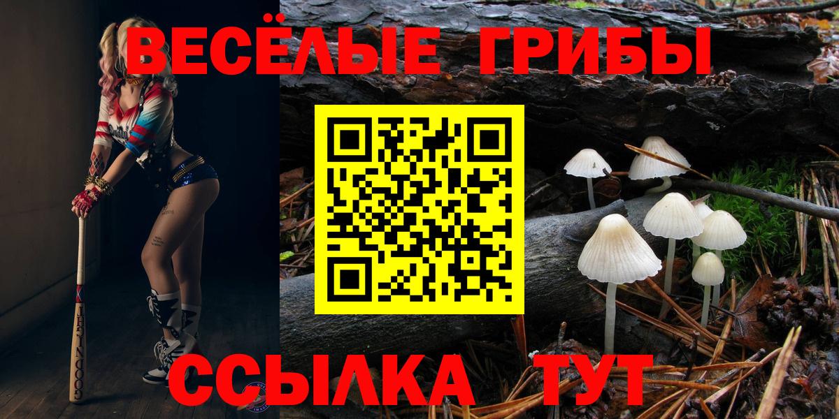 Псилоцибиновые грибы Psilocybine cubensis  Вход с VPN  Кунгур 