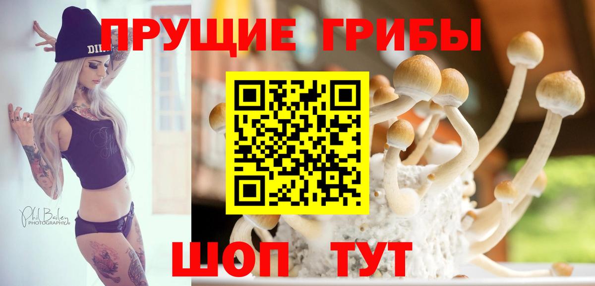 Псилоцибиновые грибы Magic Shrooms Кунгур